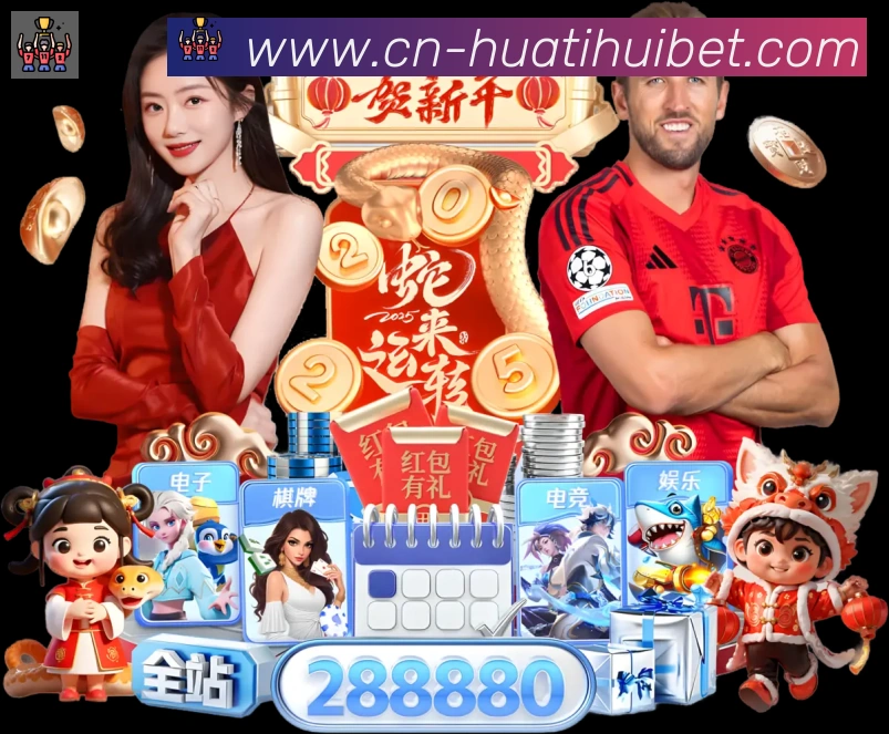 战术分析频道
